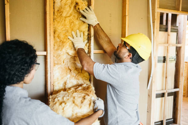 Insulation Inspection Services in Village Green Green Ridge, PA